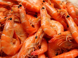 Shrimp and other seafoods
